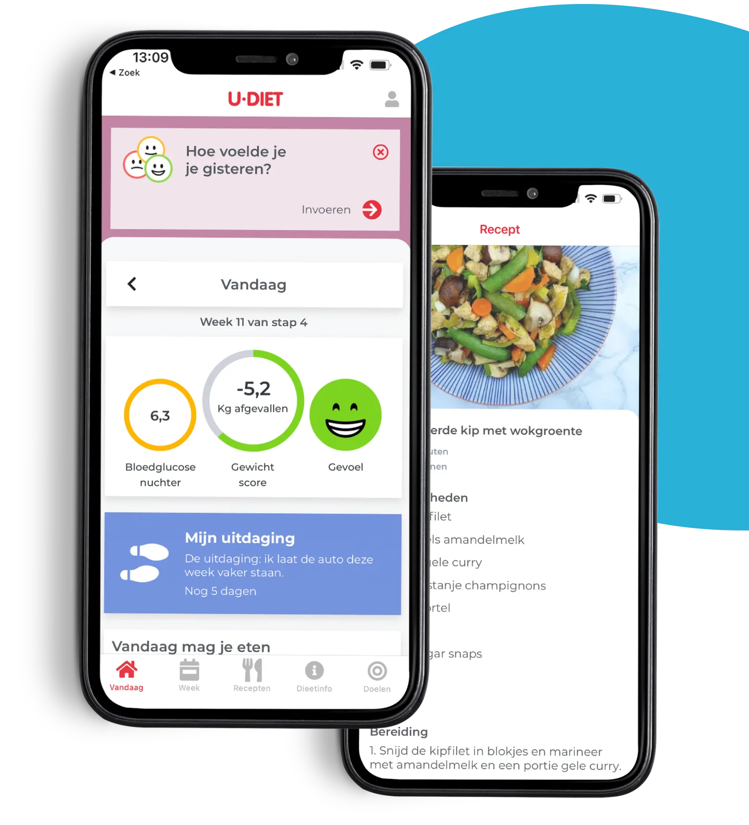 dashboard-and-recipe afvallen dashboard app en recepten